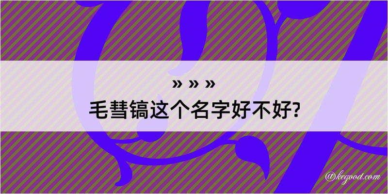 毛彗镐这个名字好不好?