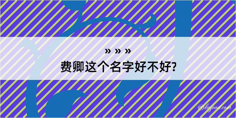 费卿这个名字好不好?