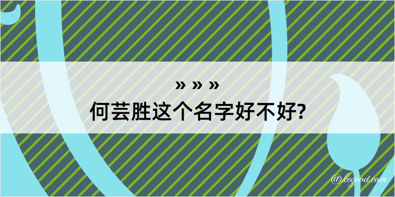 何芸胜这个名字好不好?