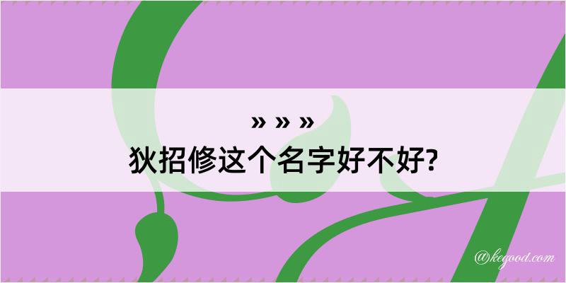 狄招修这个名字好不好?