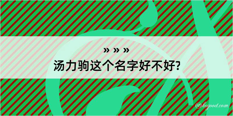 汤力驹这个名字好不好?