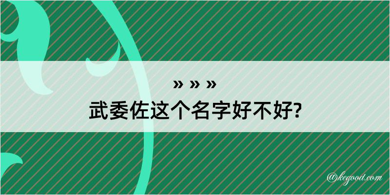 武委佐这个名字好不好?