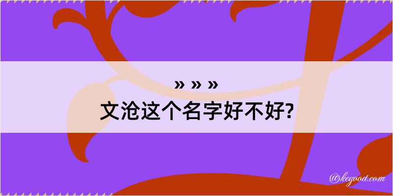 文沧这个名字好不好?