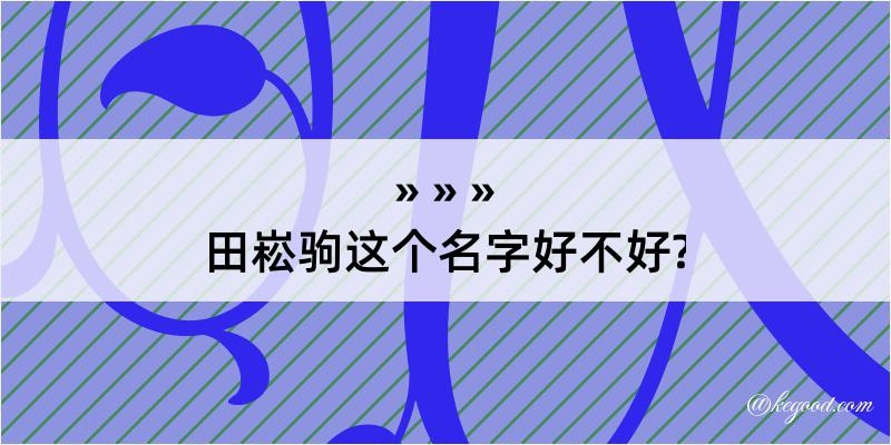 田崧驹这个名字好不好?