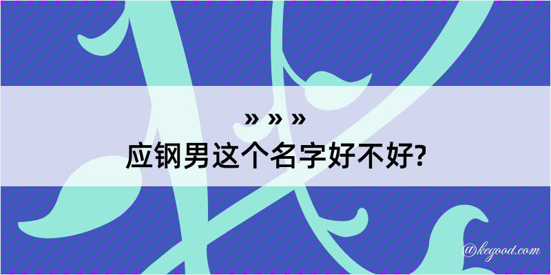 应钢男这个名字好不好?