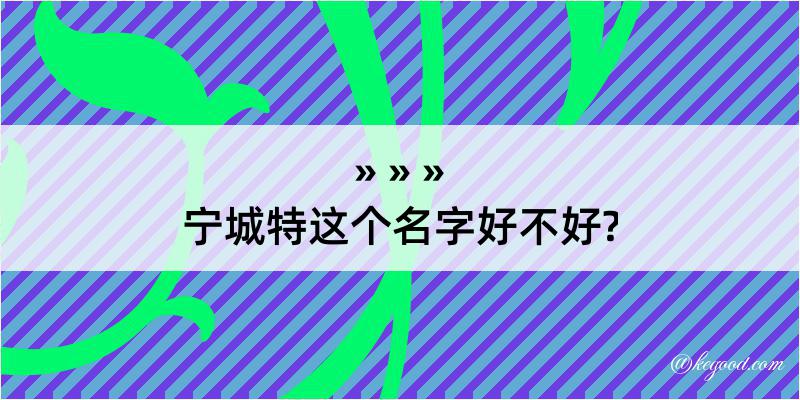 宁城特这个名字好不好?