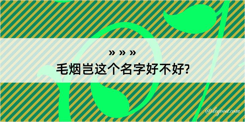 毛烟岂这个名字好不好?