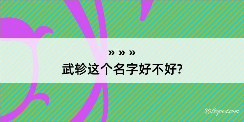 武轸这个名字好不好?