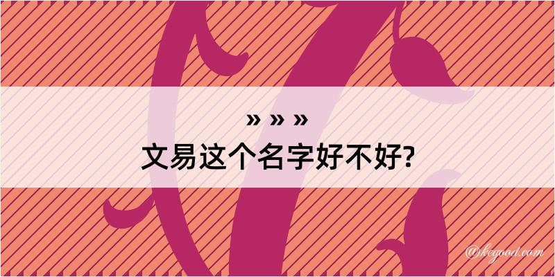 文易这个名字好不好?