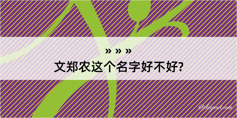 文郑农这个名字好不好?