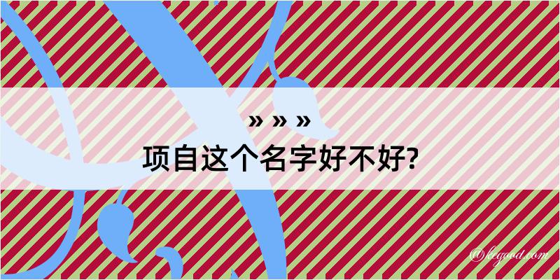 项自这个名字好不好?