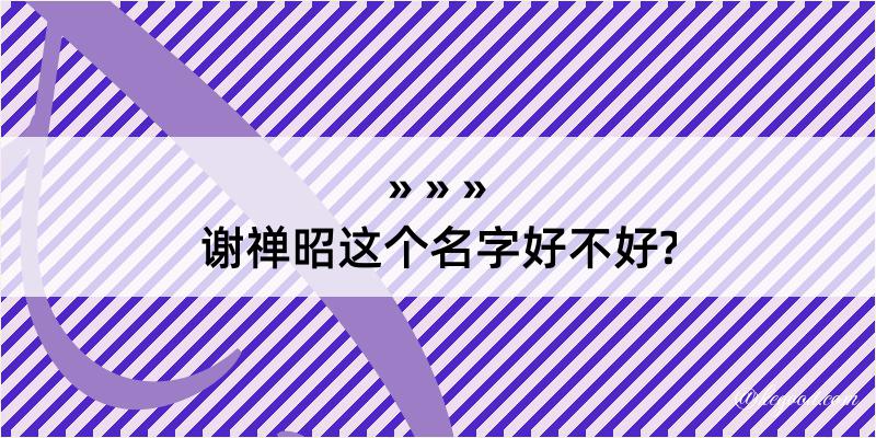 谢禅昭这个名字好不好?