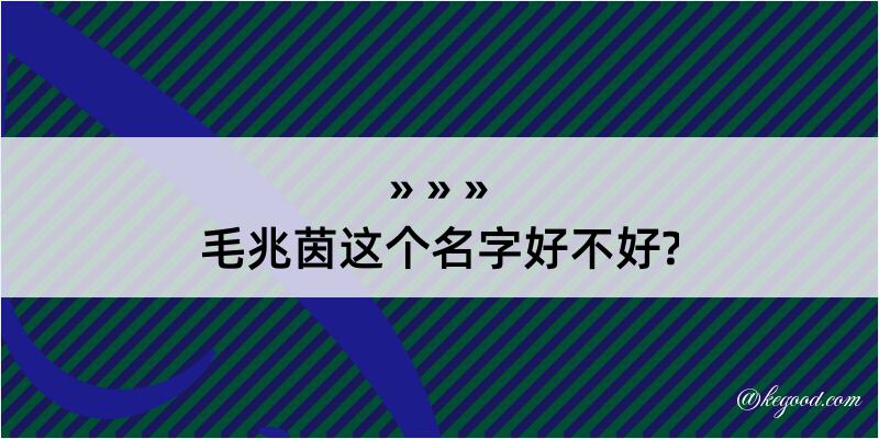 毛兆茵这个名字好不好?