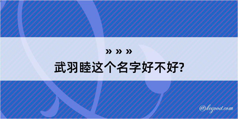 武羽睦这个名字好不好?