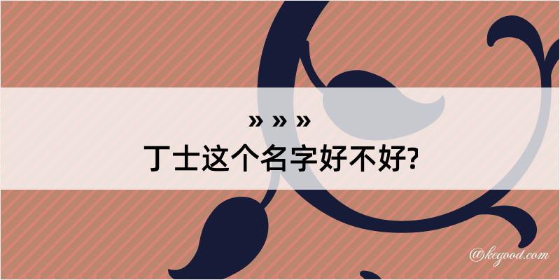 丁士这个名字好不好?