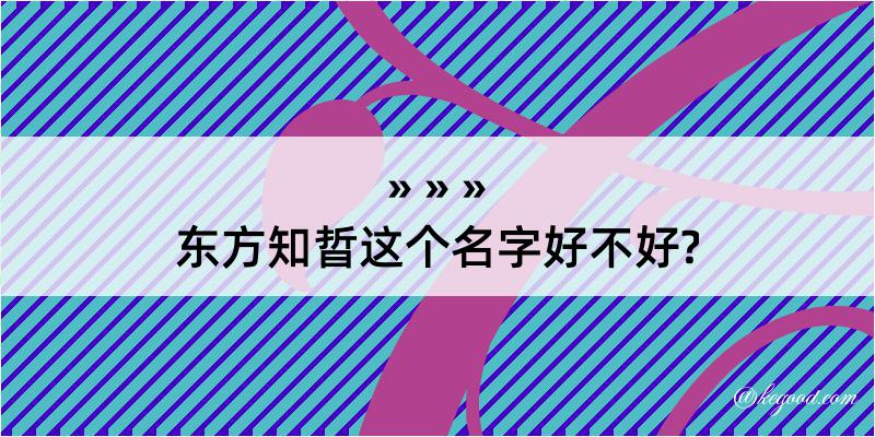 东方知晢这个名字好不好?