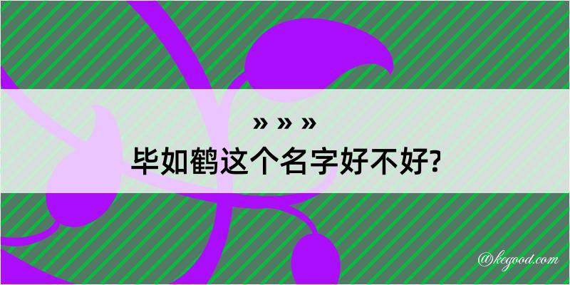 毕如鹤这个名字好不好?