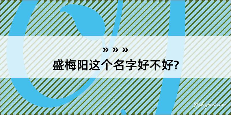 盛梅阳这个名字好不好?