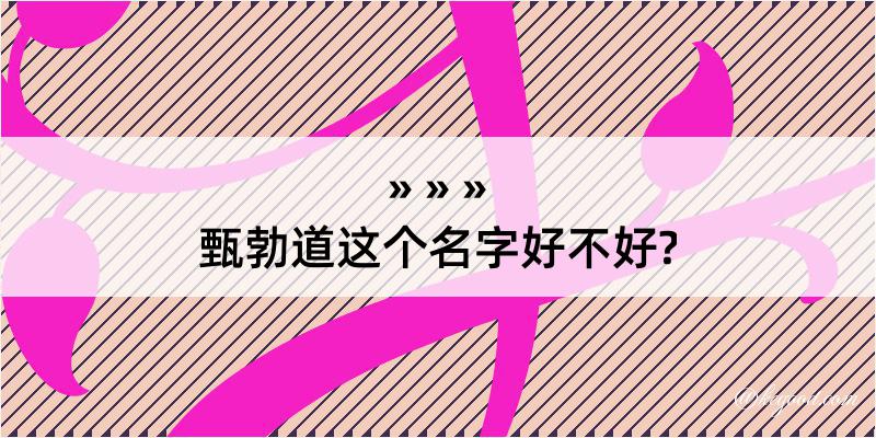 甄勃道这个名字好不好?