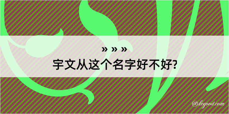 宇文从这个名字好不好?