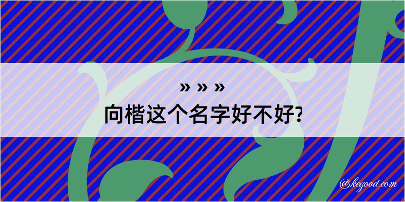 向楷这个名字好不好?