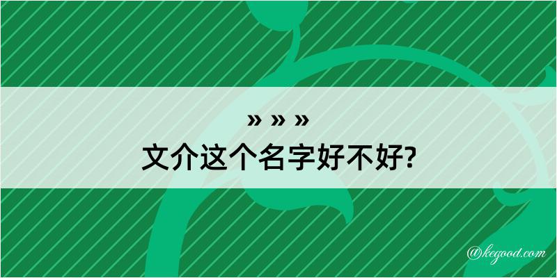 文介这个名字好不好?