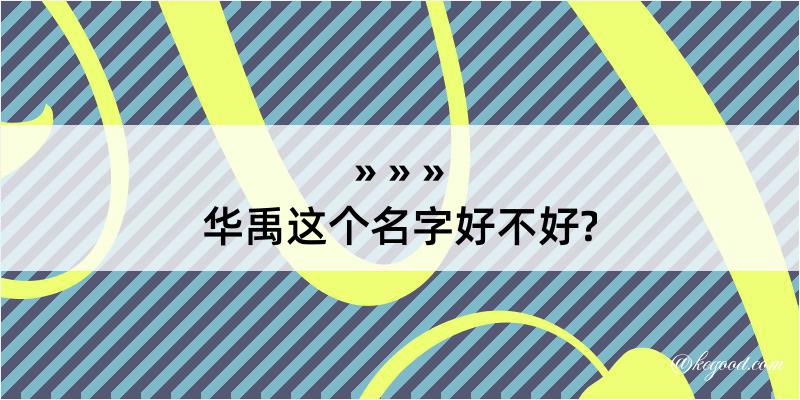 华禹这个名字好不好?