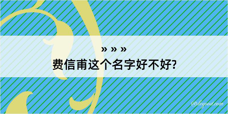 费信甫这个名字好不好?