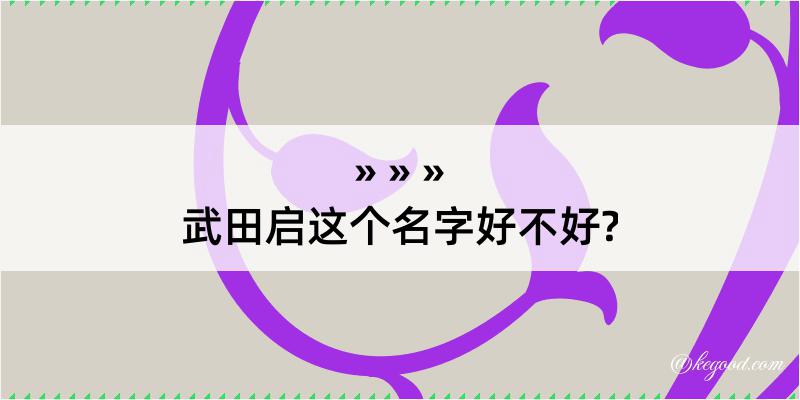 武田启这个名字好不好?