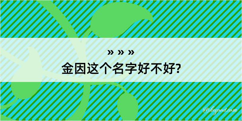 金因这个名字好不好?