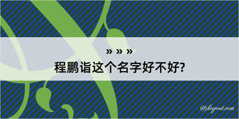 程鹏诣这个名字好不好?