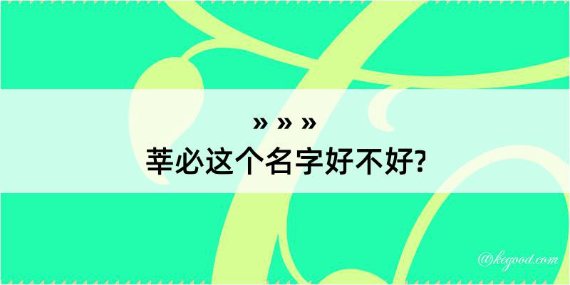 莘必这个名字好不好?