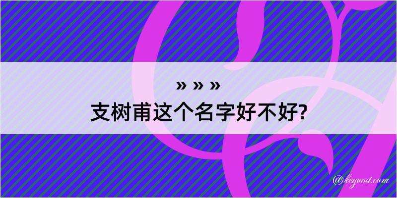 支树甫这个名字好不好?