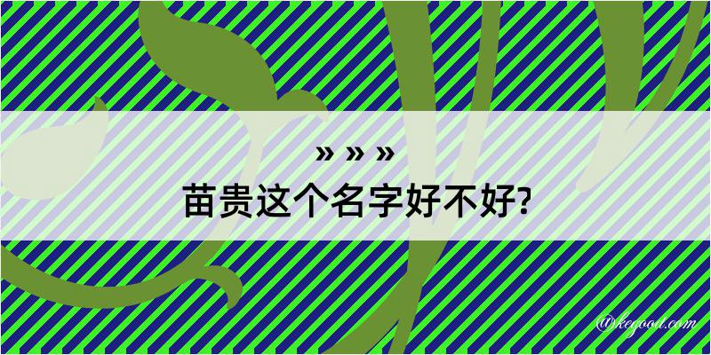 苗贵这个名字好不好?