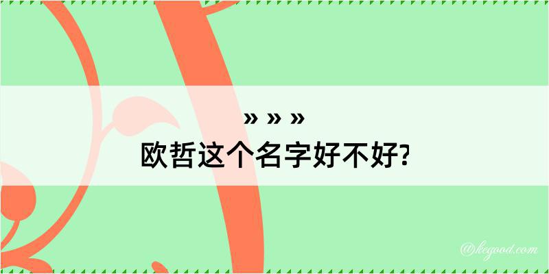 欧哲这个名字好不好?