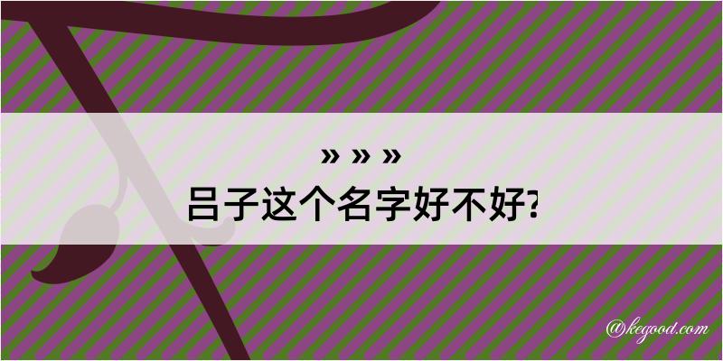 吕子这个名字好不好?