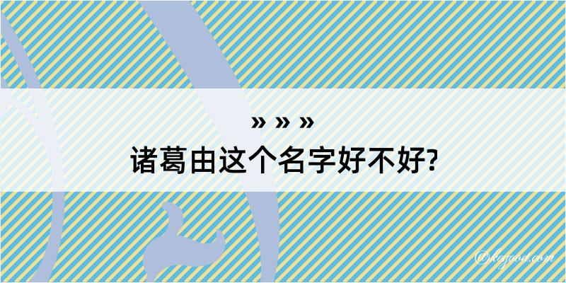 诸葛由这个名字好不好?