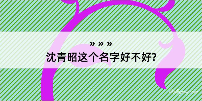 沈青昭这个名字好不好?