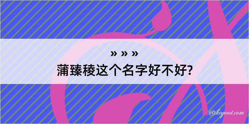 蒲臻稜这个名字好不好?