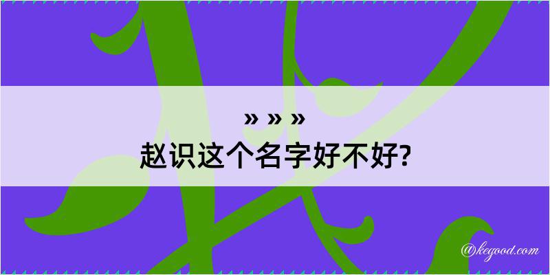 赵识这个名字好不好?