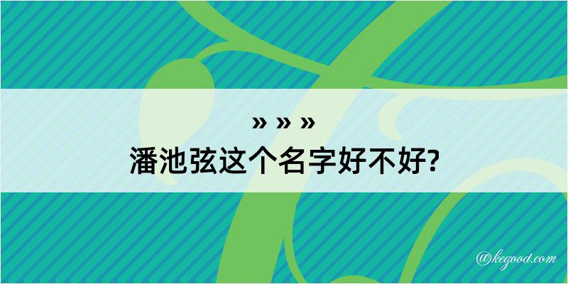 潘池弦这个名字好不好?