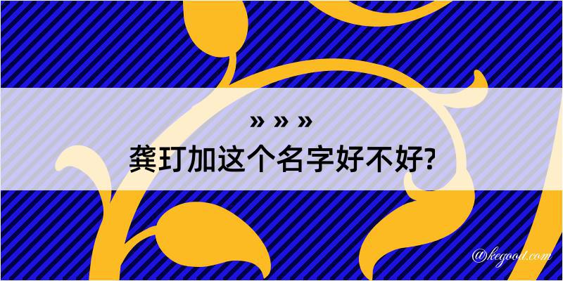 龚玎加这个名字好不好?