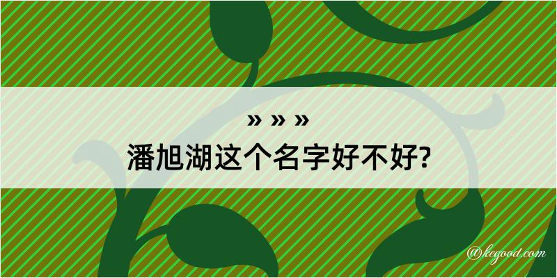 潘旭湖这个名字好不好?