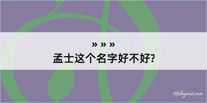 孟士这个名字好不好?