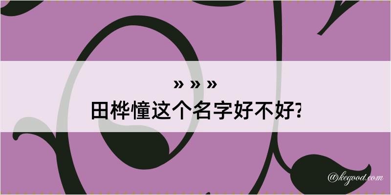 田桦憧这个名字好不好?