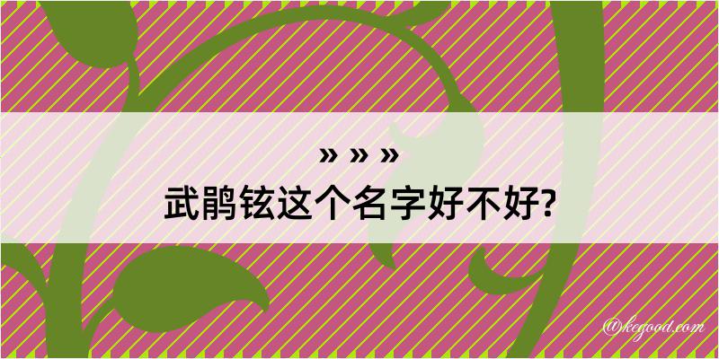 武鹃铉这个名字好不好?