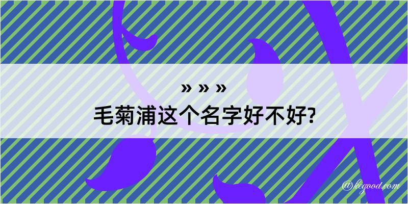 毛菊浦这个名字好不好?