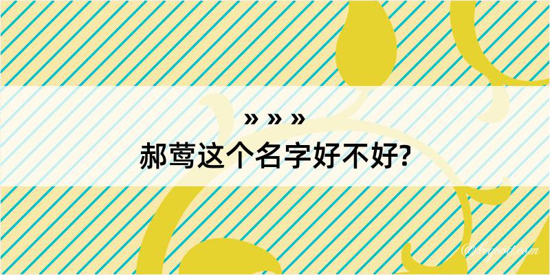 郝莺这个名字好不好?