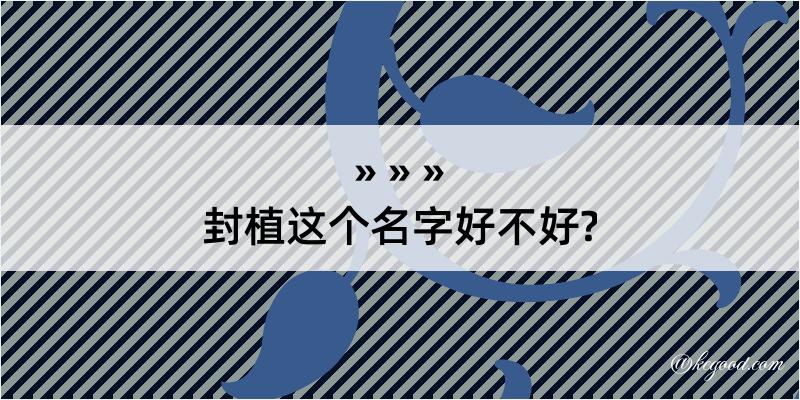 封植这个名字好不好?