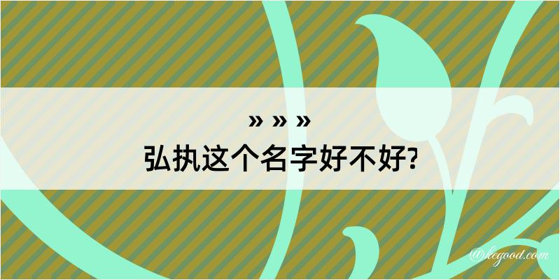 弘执这个名字好不好?